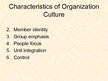 Презентация 'Basic Organization Designs', 20.
