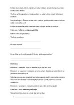 Образец документа 'Pilsoniskā izglītība – valsts, sabiedrība, tiesības un pienākumi', 31.