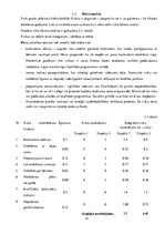 Реферат 'Bērnu attīstības klubiņa atvēršana Ogres pilsētā', 10.