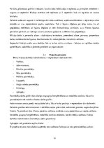 Реферат 'Bērnu attīstības klubiņa atvēršana Ogres pilsētā', 12.