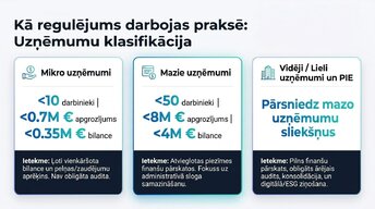 Презентация 'Grāmatvedības uzskaites regulējums Eiropas Savienībā', 4.