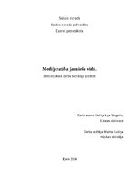 Реферат 'Medijpratība jauniešu vidū', 1.