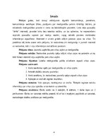 Реферат 'Medijpratība jauniešu vidū', 4.