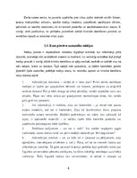 Реферат 'Medijpratība jauniešu vidū', 8.