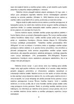 Дипломная 'Medicīnas tūrisma iespēju ietekme uz pakalpojumu saņemšanas uzlabošanu', 8.