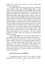 Дипломная 'Medicīnas tūrisma iespēju ietekme uz pakalpojumu saņemšanas uzlabošanu', 25.