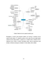 Дипломная 'Medicīnas tūrisma iespēju ietekme uz pakalpojumu saņemšanas uzlabošanu', 33.