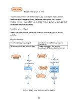 Дипломная 'Medicīnas tūrisma iespēju ietekme uz pakalpojumu saņemšanas uzlabošanu', 43.