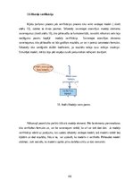 Дипломная 'Medicīnas tūrisma iespēju ietekme uz pakalpojumu saņemšanas uzlabošanu', 46.