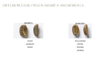 Конспект 'THE ORIGIN OF COFFEE', 4.