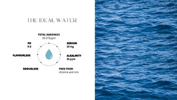 Конспект 'THE ORIGIN OF COFFEE', 8.