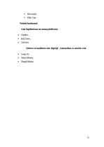Отчёт по практике 'Prakses atskaite studiju kursā “Tirgvedība”', 11.