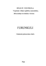 Реферат 'Furunkuli', 1.