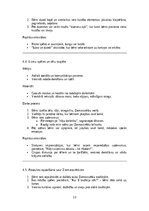 Конспект 'Ziemassvētku pasākuma scenārijs bērnu dārzā  “Ziemassvētku brīnumzeme”', 13.