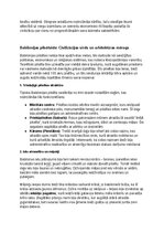 Конспект 'Babiloni: vēsture, kultūra, mitoloģija, sabiedrība un kultūras mantojums', 19.