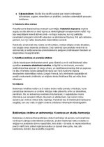 Конспект 'Babiloni: vēsture, kultūra, mitoloģija, sabiedrība un kultūras mantojums', 24.