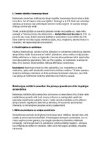Конспект 'Babiloni: vēsture, kultūra, mitoloģija, sabiedrība un kultūras mantojums', 28.