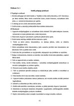 Отчёт по практике 'Sociālā pedagoga prakses atskaite', 42.