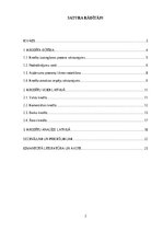 Реферат 'Kredītu veidu struktūra un analīze Latvijas tirgū', 2.