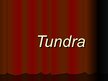 Презентация 'Tundra', 1.