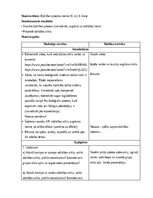 Конспект 'Nodarbību plāns 4.klasei Dabaszinībās', 1.