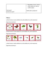 Конспект 'Nodarbību plāns 4.klasei Dabaszinībās', 3.