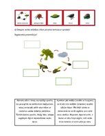Конспект 'Nodarbību plāns 4.klasei Dabaszinībās', 4.