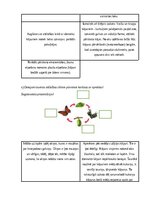Конспект 'Nodarbību plāns 4.klasei Dabaszinībās', 5.