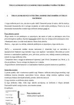 Конспект 'Konkurences tiesību regulējums Eiropas Savienībā', 1.