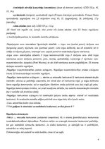 Конспект 'Konkurences tiesību regulējums Eiropas Savienībā', 4.