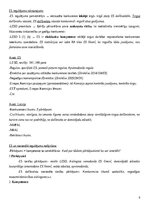 Конспект 'Konkurences tiesību regulējums Eiropas Savienībā', 6.