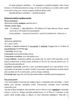 Конспект 'Konkurences tiesību regulējums Eiropas Savienībā', 7.