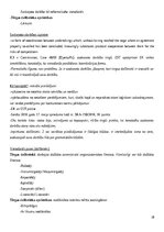 Конспект 'Konkurences tiesību regulējums Eiropas Savienībā', 28.