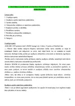 Конспект 'Konkurences tiesību regulējums Eiropas Savienībā', 61.