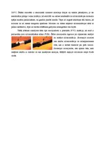 Реферат 'Siltumizolācijas materiālu salīdzinājums: minerālvate un polistirols', 11.