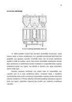 Реферат 'Kontroldarbs “Ūdensapgāde un kanalizācija” 22.variants', 15.