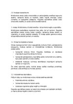 Реферат 'Mindfulness un apzinātība ikdienā', 5.