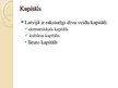 Презентация 'Latvijas ekonomisko resursu raksturojums', 11.