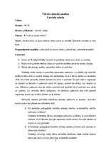 Отчёт по практике 'Aktīvā mācību un audzināšanas prakse sākumskolā', 3.