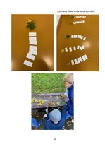 Отчёт по практике 'Aktīvā mācību un audzināšanas prakse sākumskolā', 35.