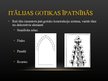 Презентация 'Itālijas gotiskā arhitektūra', 3.