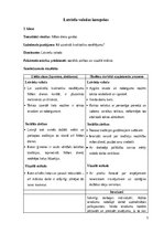 Отчёт по практике 'INTEGRĒTO MĀCĪBU PRAKSE  SĀKUMSKOLĀ', 5.