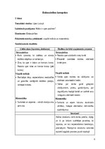 Отчёт по практике 'INTEGRĒTO MĀCĪBU PRAKSE  SĀKUMSKOLĀ', 8.