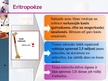 Презентация 'Eritropoēze', 7.