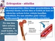 Презентация 'Eritropoēze', 13.