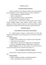 Реферат 'Stambulas konvencijas protestu rāmējums partijas “Progresīvie” Instagram publikā', 6.