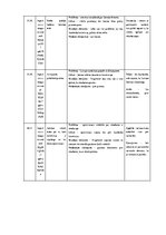 Реферат 'Stambulas konvencijas protestu rāmējums partijas “Progresīvie” Instagram publikā', 13.