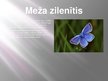 Презентация 'Meža ekosistēma', 25.