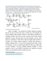 Реферат 'Manas atklāsmes un gaidas saistībā ar internetu', 2.