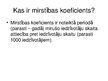 Презентация 'Latvijas demogrāfiskais stāvoklis', 10.